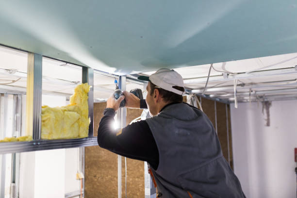 Best Types of Insulation in Santa Ana, CA